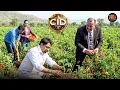 Lagu टमाटर के खेत में क्या ढूंढ रही है CID ? | CID Special | New Episode 2026