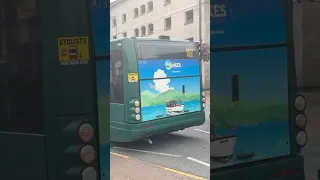                                                              دندنها