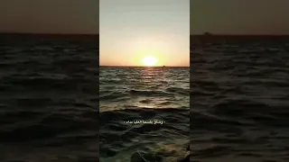 اريد الحب في قلب شريف 