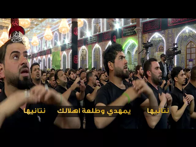 ⁣يراعيها  - ملا عمار الكناني  - مجلس حسينية داود العاشور في العتبه الحسينيه المقدسه