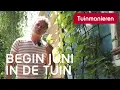 Download Lagu Wat doe je in de tuin begin juni? | Juni | Tuinmanieren