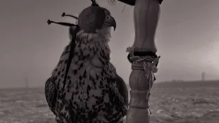 يوم جيت من المغيبه الخزماني 