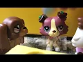 LPS MV:Lovely|By Hailey Barnes and Calvin Jenkins|