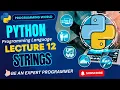 Python String methods in Python with examples