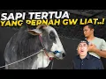 Lagu MASUK LAGI KE TEMPAT SETIA FARM MENYEMBUNYIKAN SAPI ISTIMEWA NYA..!