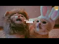 Bawa Sudah   feat  hendrik wrk  Vietsub + Lyric Tik Tok Song