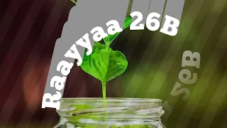 raayyaa abbaa maccaa 26b halal studio
