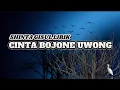 Download Lagu CINTA BOJONE UWONG || SHINTA GISUL - LIRIK LAGU