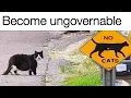 Download Lagu Cat Memes