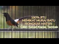 Lagu MASTERAN MURAI BATU ISIAN MEWAH KENARI CILILIN KAPAS TEMBAK MERANGSANG MURAI AGAR NYAUT DAN NGAMUK