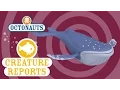 Download Lagu Octonauts: Creature Reports - Humpback Whale