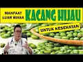 MANFAAT LUAR BIASA KACANG HIJAU UNTUK KESEHATAN