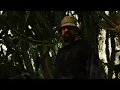 Gentleman - Lion (Official Video)