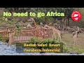 Baobab Safari Resort Surabaya Indonesia