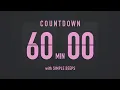 60 Minute Countdown Timer Flip Clock with Simple Beeps