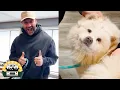 This adorable new rescue is like if Cece and Little Bear had a baby Lee Asher