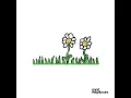 Daisies - Good Neighbours