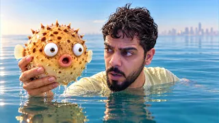 انقاذ السمكة مدام نفيخة