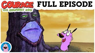 The Magic Tree of Nowhere: FULL EPISODE | Courage The Cowardly Dog | Cartoon Cartoons