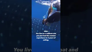 One of the craziest experiences in 8 years of sailing #familylife #sailing #boating