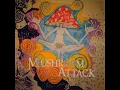 Download Lagu Mushroom Attack – the fight goes on  (full album)