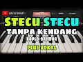 Download Lagu STECU STECU || TANPA KENDANG KOPLO BAJIDOR || PLUS VOKAL