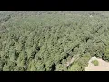 38 Acres Coleman