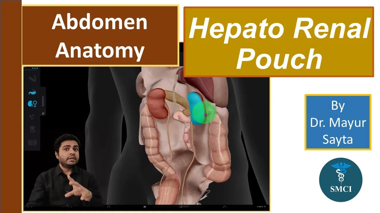 Hepatorenal Pouch | Abdomen Anatomy | Fold of peritoneum | SMCI Next | Dr. Mayur Sayta
