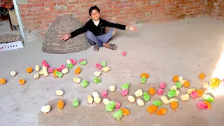 Download 100 Baby Chicks 🐤 | Mera New Chozha 😍 | Dawood Sabir Vlogs MP3