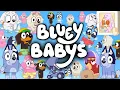 EVERY Bluey Baby Bluey Theory what happened to Socks does she have Autism