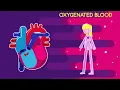 Heartbeat and Pulse | Physiology | Biology | FuseSchool