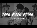 Download Lagu Tera Mera Milna - ✨☺️|| SLOWED+REVERB || - LOFI MUSIC 🎶