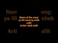 Ya lili cheb salih remix