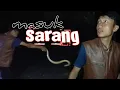 Download Lagu KOLAM IKAN YANG SELALU BANYAK ULAR NYA