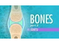Joints Crash Course Anatomy Physiology
