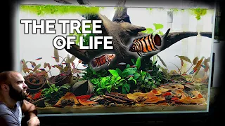 The MOST TERRITORIAL Rare Nano Fish in Botanical Aquarium Build