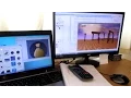 Indie MMO Devlog Combat Networking