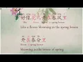甜蜜蜜 Tián Mì Mì  - The Most Classic of 邓丽君 Dèng Lìjū - Lyrics in Chinese /Pinyin/English