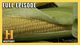 Modern Marvels: How Corn Fuels America (S13, E39) | Full Episode | History
