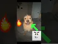 Download Lagu #CapCut #MemeCut #meme #meme #meme #funny #trendy #dog #rapapa #fyp #xyzcba