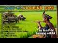 Download Lagu Saba huta Pidoli Lombang to Dolok | Lagu Tapsel Terbaru 2025 | Suasana pagi di sawah desa mandailing