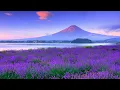 Download Lagu ¡Música de Sergey Chekalin! ¡Una de las melodías más bellas y mágicas para el alma! Belleza colorida