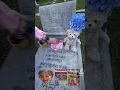 JonBenet Patricia Ramsey August 6 1990 - December 25 1996