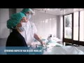 Download Lagu Laparoscopische sterilisatie bij de hond