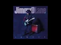 JIMMY D. LANE (Chicago, Illinois, U.S.A) - 10. Baby's Mule