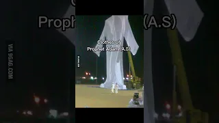 How Tall Prophet Adam A S Was Keep Smiling Its Sunnah Muslim Shorts 