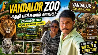💥💖 vandalur zoo 😱❗️❓#entertainment #comedy #rajmindvoice 