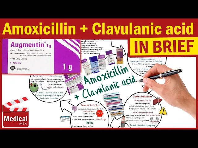 Download MP3 Amoxicillin and Clavulanic Acid ( Augmentin ): Augmentin Uses, Dosage,  Side Effects & Precautions