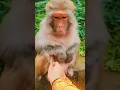 Download Lagu I INI PARAH INI 😂😂🤣🤣#humor #lucu #komedi #viral #trending #ngakak #kocak #fyp #trending #shorts