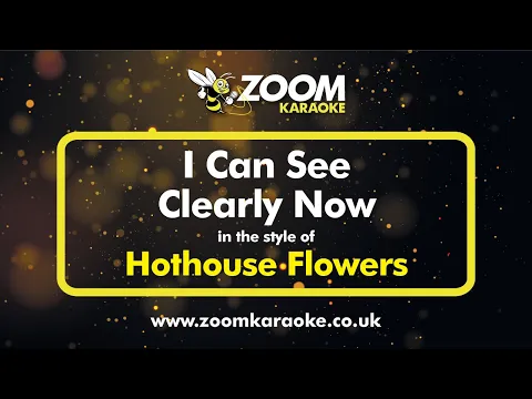 Download MP3 Hothouse Flowers - I Can See Clearly Now - Karaoke Version from Zoom Karaoke